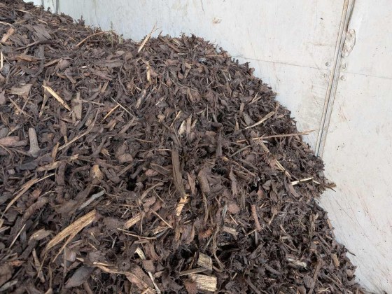 Decoative-Bark-1