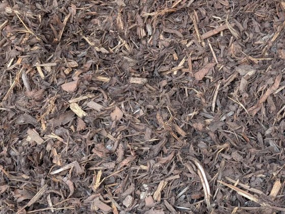 Decoative-Bark-2