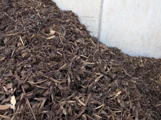 Decorative-Bark-Medium-1