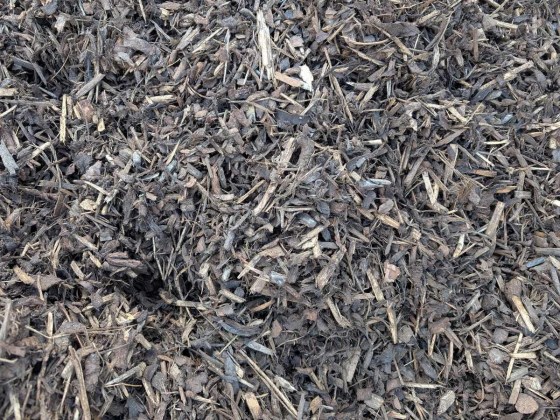 Decorative-Bark-Medium-2