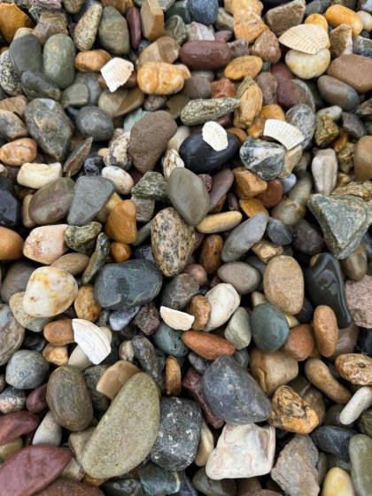 irish-beach-pebble-16-32mm-wet