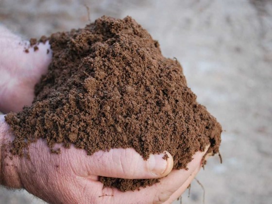 topsoil-1